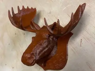 Mounted Moose Head