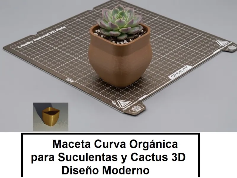 Organik Kıvrımlı Saksı Sukulent ve Kaktüs 3D / Modern Tasarım