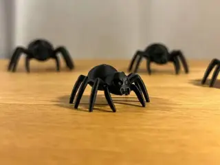 Creepy Spider