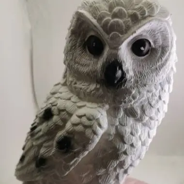 owl-1