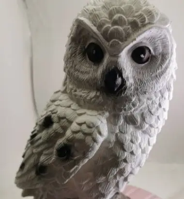 owl-1