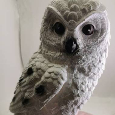 owl-1