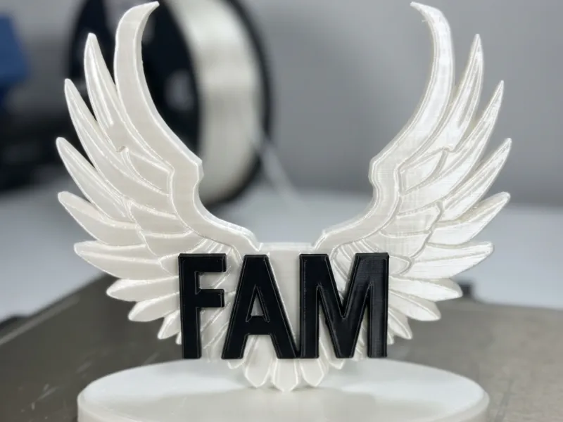 FAM wings Logo