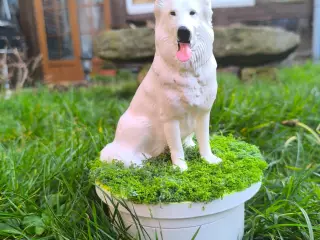 chien berger suisse figurine