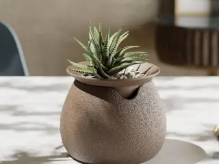AquaFlora Self-Watering Planter