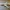 lockheed tristar 1011