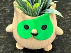 コロクの植物ポット