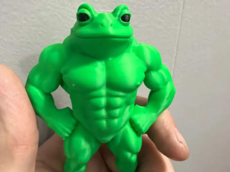 Mascular frog