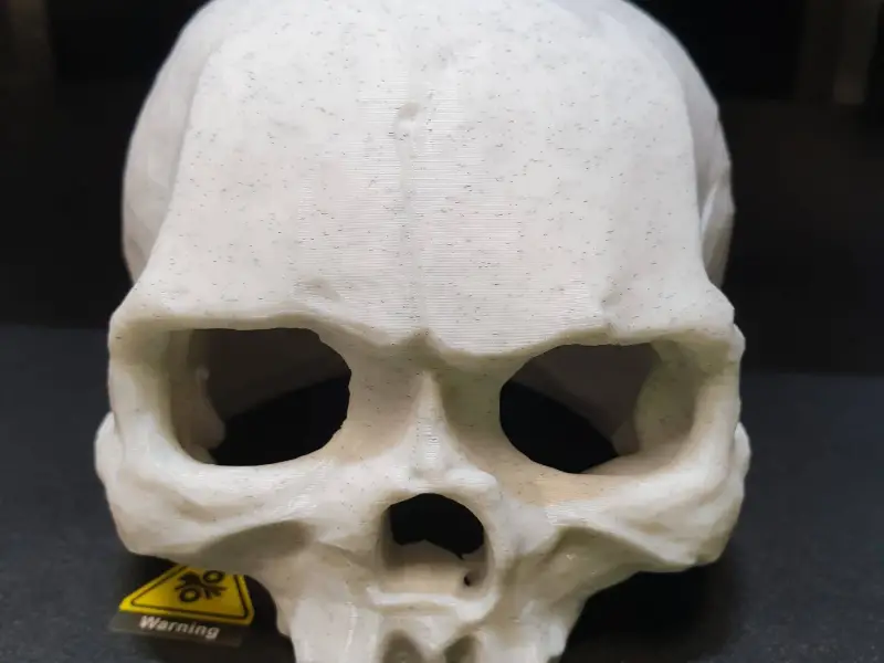 Calavera hueca