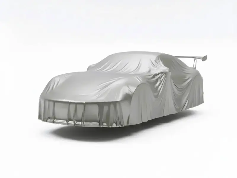 Porsche GT3 RS - Veiled Art