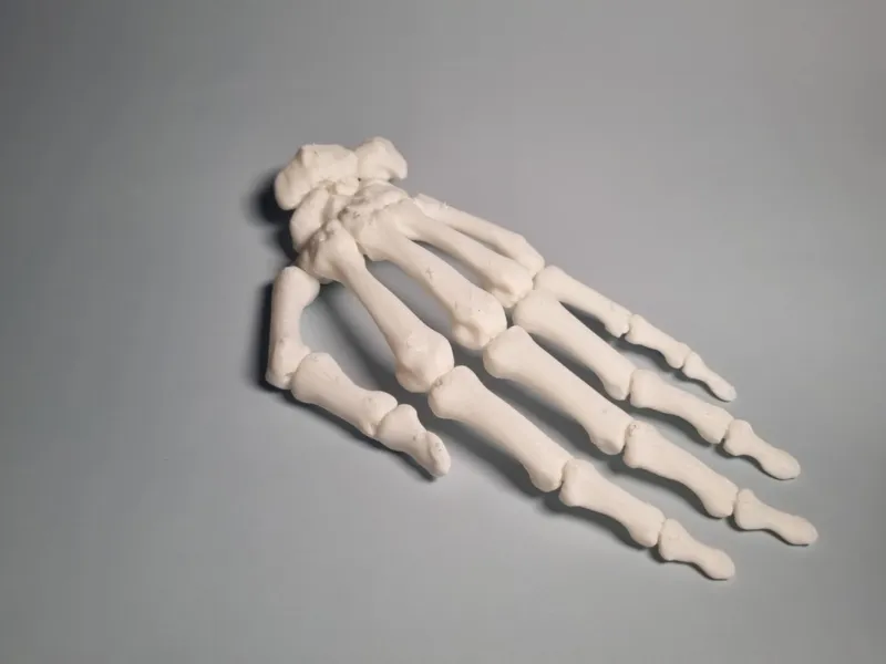 Gelenkige Hand