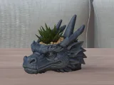 Dragon Head Succulent Planter-0