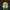 Fortnite Pollo Sprite (18)