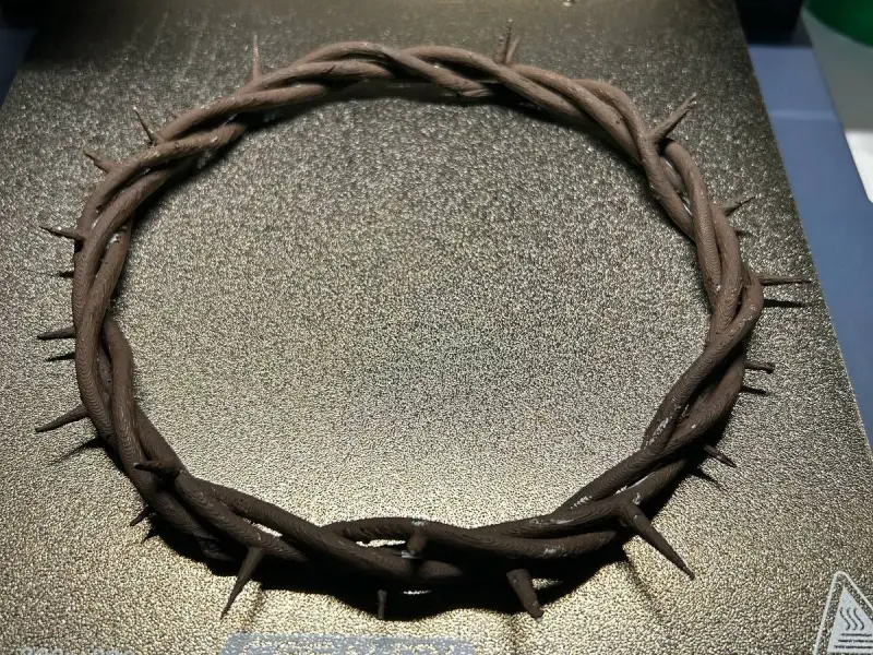 Coroa de espinhos