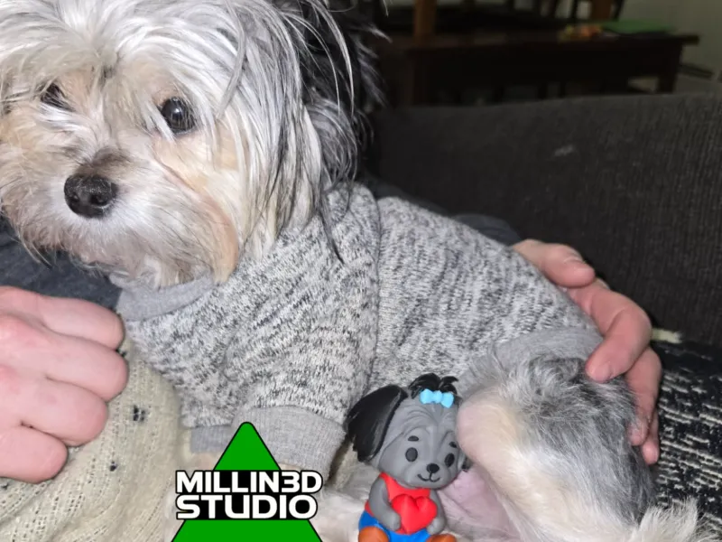 Cricket, la cachorra Shih Tzu, para el desafío MakeNow del Día de San Valentín