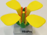 Flower structure (Brassica)-0