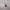 Rust-Logo-Schlüsselanhänger Version 2