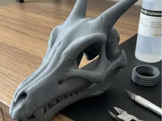 Charizard Skull