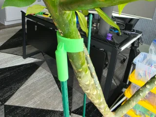 Plant Prop-Body
