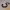 Ultimate S-Hook [Generator]