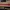 cool collapsible katana