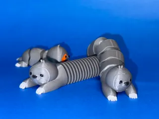 慢悠悠小树懒