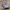 Armored personnel carrier