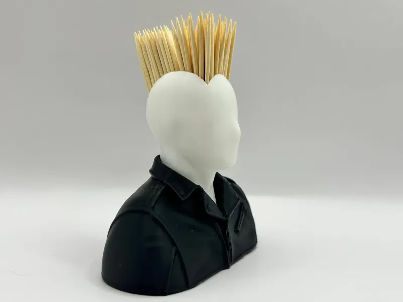 Toothpick holder