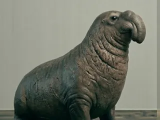 Elephant seal - simple and easy to print
