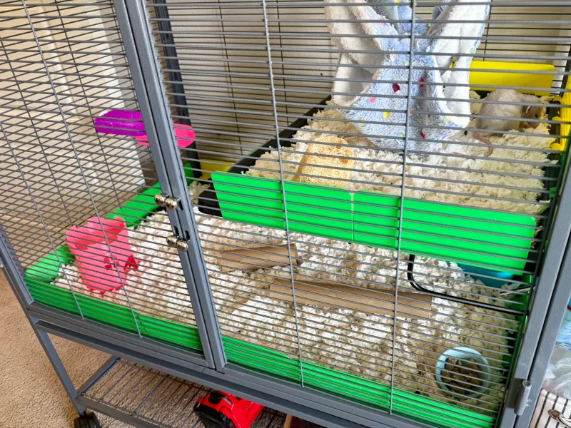 Critter Nation Scatter Guards