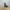 Sitting Dog Figure
