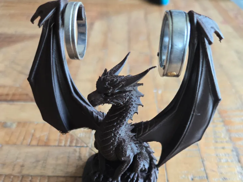 Dragon des anneaux