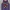 Vince Carter #15 Raptors Jersey – Exposed Infill
