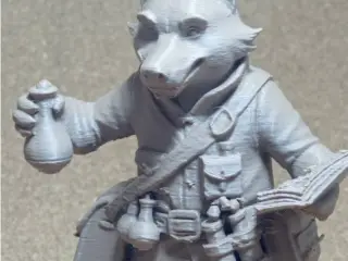 Raposa alquimista