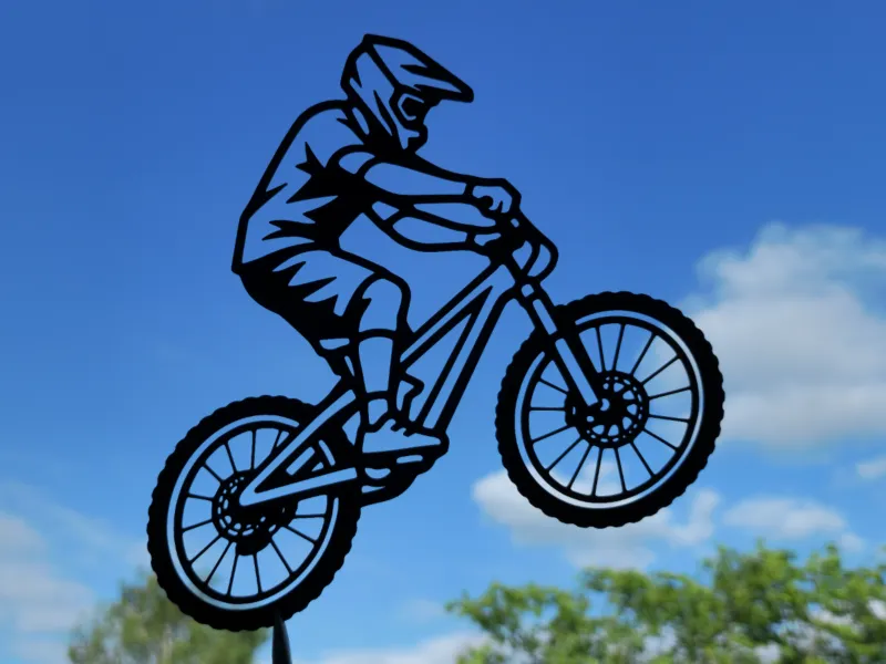 Mountain Bike Rider 2D Wall Art