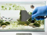 Algae Scraper-0
