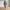 Butterfly Lingerie — Curvy