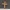 Crucifix