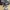 Modello artistico della statuetta anime di Jocellyn the Joker