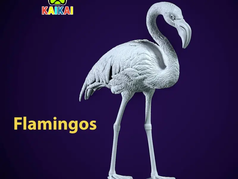 Crane model - flamingos urban vibes