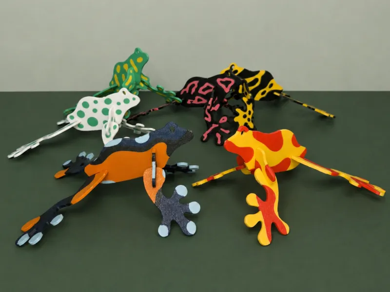 Poison Dart Frog kitcard collection - Colourful frog models