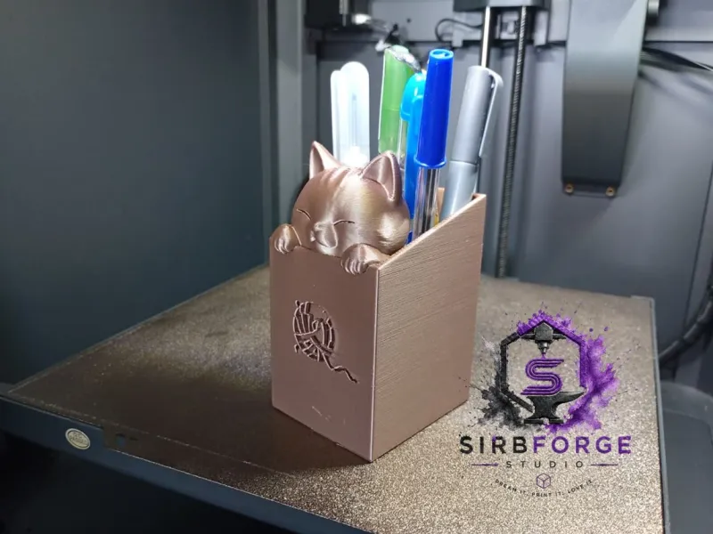 🐱 Cute Cat Hiding in a Box
