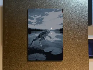 Frog Jump Hueforge