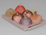 onion garden bed-0