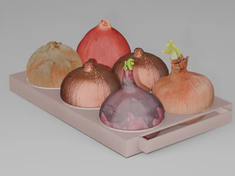 onion garden bed
