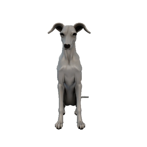 Greyhound