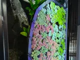 Modular Floating Ring for Aquarium-0