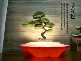 罗汉松盆景光影套件