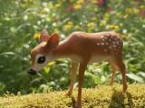 Fawn-0