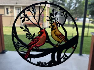3D Cardinal pair